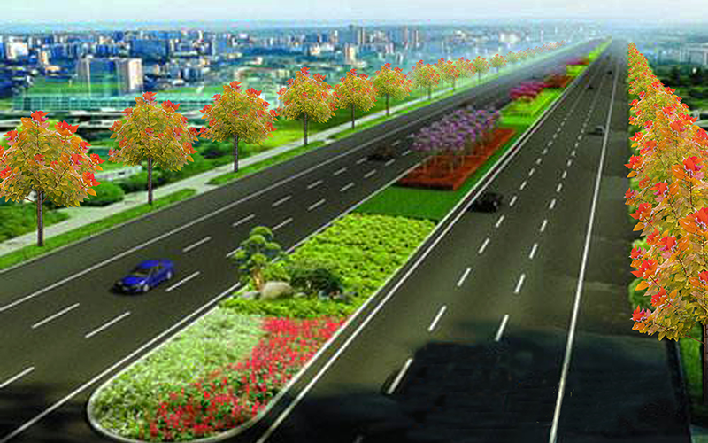 高速公路+高鐵+國道+省道+鄉道