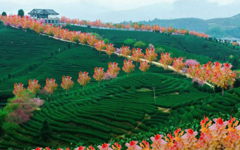 公園造景+綠色裝點
